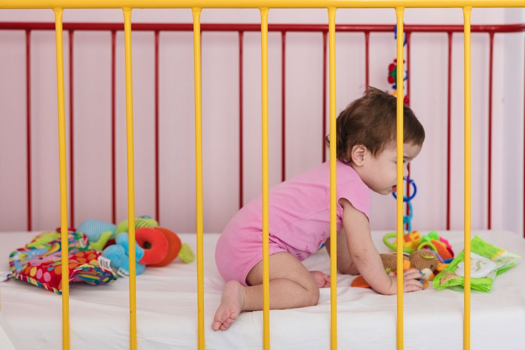 brosh_jan.jpg brosh_jan.jpg